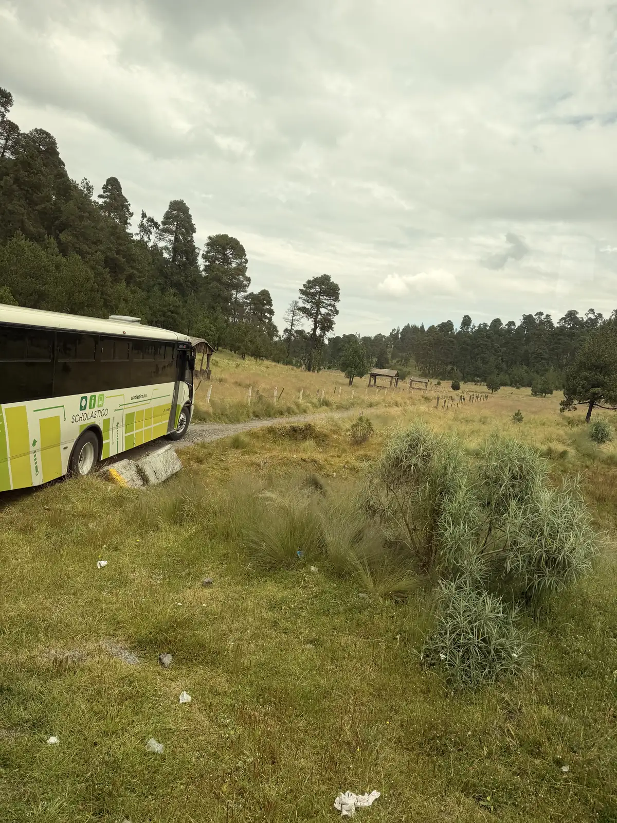 Camión de pasajeros estacionado a la orilla de un camino de tierra entre pinos y pastizal en el Predio Cerro Gordo, Nevado de Toluca